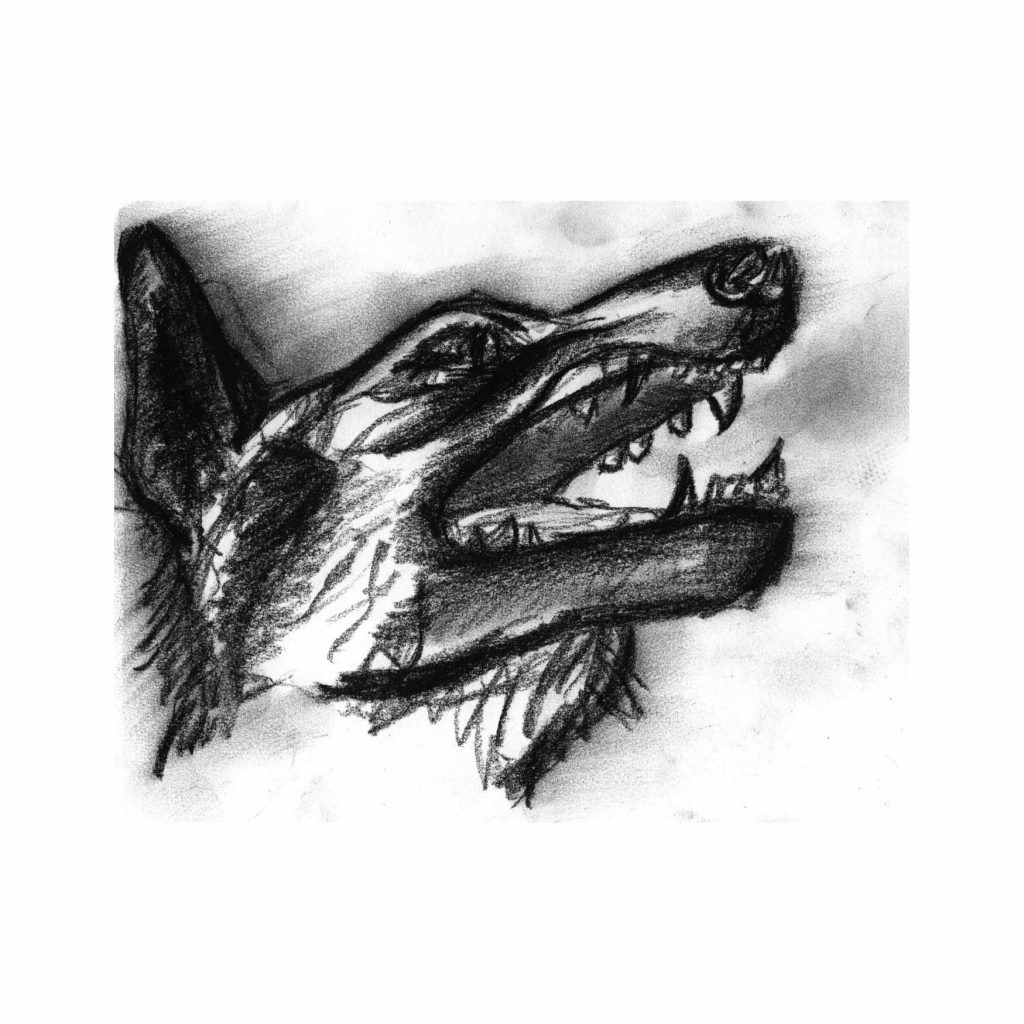 Loup – CARTE – alessandra-bobbia.com