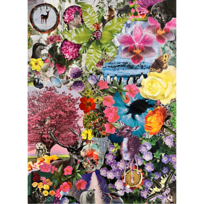Faune et flore - POSTER